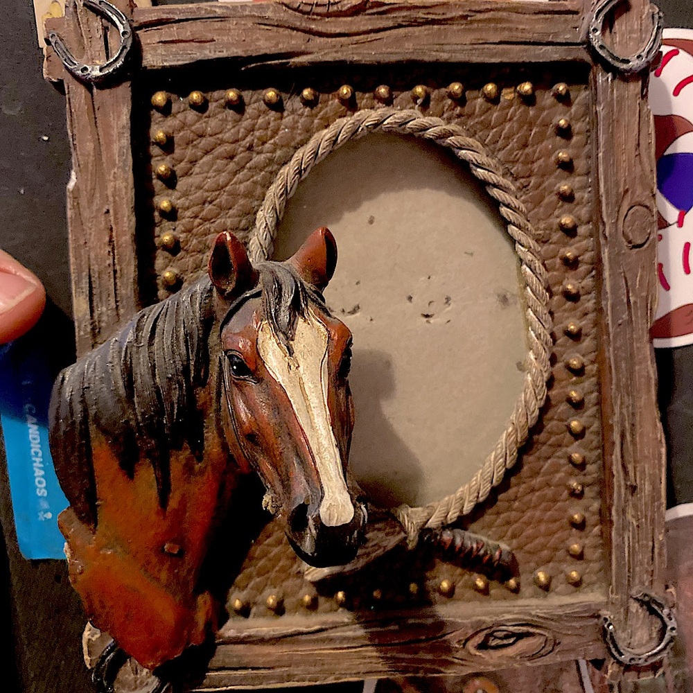 Western decor -horse picture frame